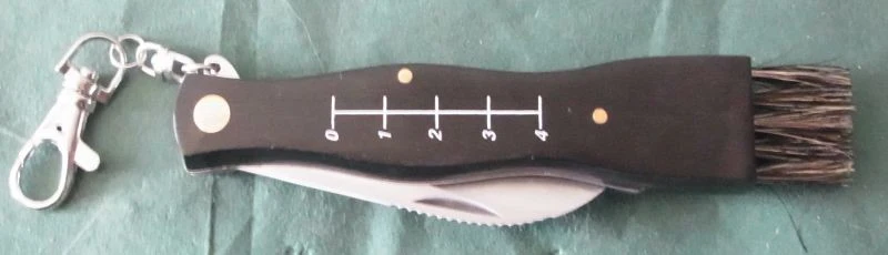 Pilzmesser mit Pinsel