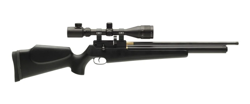 T12