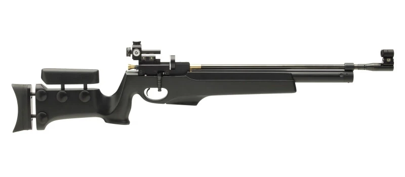 Biathlon