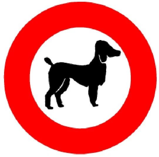 Schild Hundeverbot "Pudel" 40