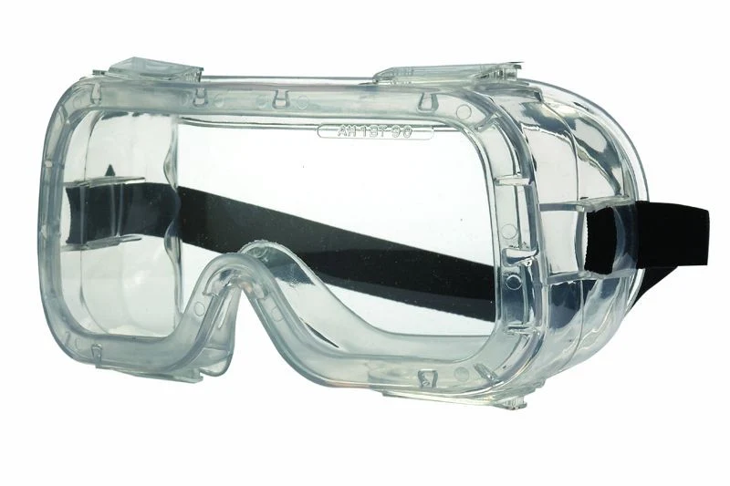 Schutzbrille "Dinomaster"