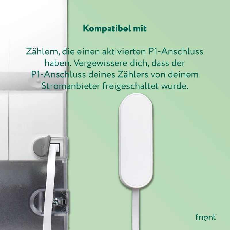 frient Electricity Meter Interface 2, P1
