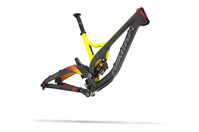 Devinci Frame - Wilson Carbon