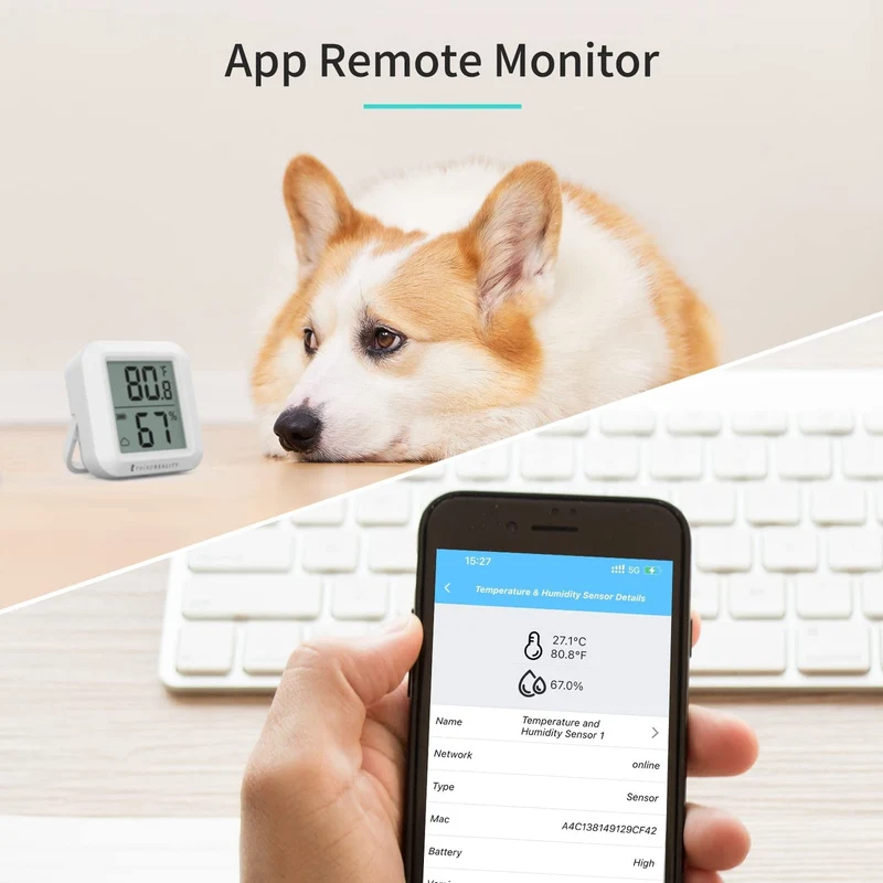 ThirdReality Temperature & Humidity Sensor