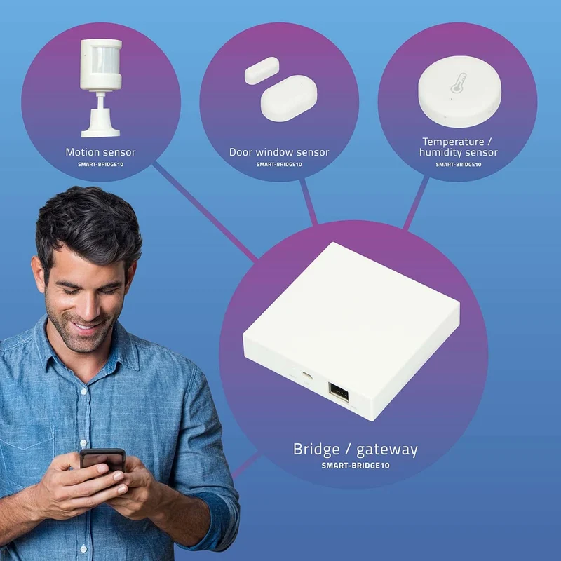 Alecto SMART-BRIDGE10 - Verbindungspunkt für Zigbee-Sensoren zum Netzwerk/Internet