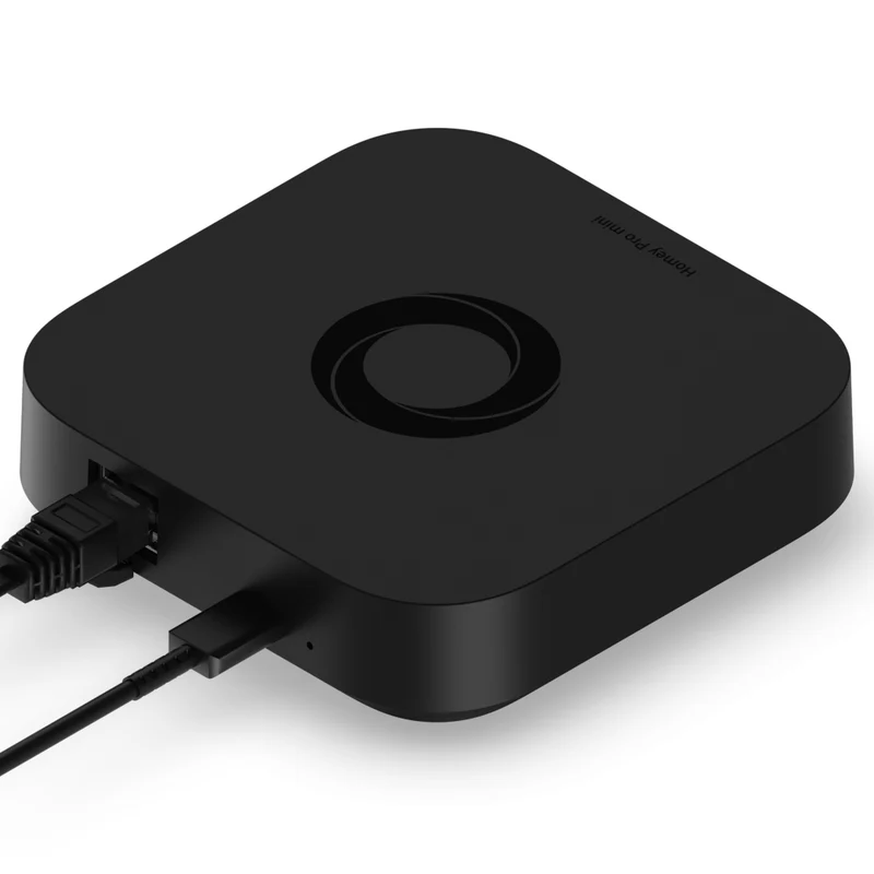 Homey Pro Mini