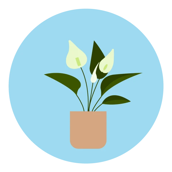 langify_image_container